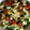 El cooksnap de Verónica Lz cuando hizo Ensalada de espinacas con aguacate.