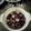Cooksnap dari Anggraini Oktora untuk resep Setup kupa/gohok