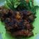 Cooksnap dari siti mufarida untuk resep Iga Bakar Madu ala Resto