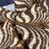 Cooksnap dari Andika Widya Chandrarini untuk resep Zebra Cake Putih Telur Super Rekomend