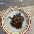 Cooksnap dari Titin untuk resep Bubur Pati Garut (Gluten Free)