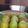 Cooksnap dari Marlina Shinta Putri untuk resep Donat Pandan