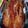 Cooksnap dari Puspa untuk resep Peking Duck ala DK 🦆👑👩‍🍳