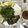 Cooksnap của Nguyễn Thuỵ Chi Anh khi họ làm theo món Bò lá lốt