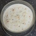Bina Samir Telivala's cooksnap of when they made દૂધ પૌવા (Doodh Pauva Recipe In Gujarati).