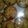 El cooksnap de zully camejo cuando hizo Muffins de jamón y queso.
