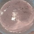 El cooksnap de Lola Benavides cuando hizo Salsa de arándanos.