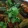 Artha का कुकस्नैप जब उन्होंने मसाला भिंडी (masala bhindi recipe in Hindi) बनाया था।