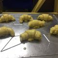 Cooksnap của Tran Thien Hau khi họ làm theo món Bánh sừng bò croissant bơ thực vật (Margarine)
