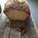 Cooksnap de Emilie62 sur la recette Gâteau au yaourt à la vanille