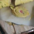 Cooksnap dari Santi Alwanda untuk resep Colorful Tamagoyaki