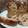 El cooksnap de rominamoscatti cuando hizo Pan dulce.