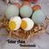 Cooksnap dari Deffi Mom's Ahnaf untuk resep TELUR ASIN Homemade