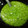 El cooksnap de SeñorCarpaccio cuando hizo Salsa pesto.