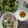 Huong Tran's cooksnap of when they made Bún Bò Huế.