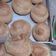 Cooksnap dari Effy Syafy untuk resep Kue Sus isi Vla Vanilla