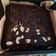 Cooksnap dari ina untuk resep Shiny crust brownies / fudgy brownies / brownies panggang