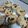 El cooksnap de Tere cuando hizo Muffins de arándanos y yogur.