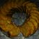 Cooksnap dari Artan Diartan untuk resep Bolu pisang no mixer
