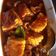 Cooksnap dari Priska Natalis untuk resep Cumi Jagung Saus Padang