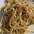 馴獸師在廚房 的 韓式小菜 - 黃豆芽 cooksnap