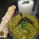 Neepa Shah's cooksnap of when they made લસુની પાલક ખીચડી (Garlic Palak khichdi Recipe in Gujarati).