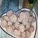Cooksnap dari Sinta untuk resep Bakso sapi (pakai blender)