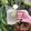 Cooksnap dari dewialwie untuk resep Es soda jeruk nipis ala cafe - Manao soda (มะนาวโซดา)
