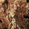 Cooksnap dari Sayu untuk resep Ayam Sisit Khas Bali