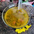 Beena Radia's cooksnap of when they made Drumstick leaves Soup.