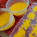 Cooksnap dari Ria Sela Hamsa Fitri untuk resep PUDING MANGGA NUTRIJEL