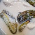 Cooksnap dari lily untuk resep Terong Bakar bumbu Kencur