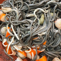 El cooksnap de astrid badia cuando hizo Spaghetti negro con gambas, gulas y chaca.
