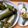 Cooksnap dari Ria Mamanya Tata untuk resep Arem arem/ lontong isi ayam kentang wortel