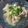 Cooksnap dari Dani Avianika untuk resep Sup mandu alias pangsit kuah