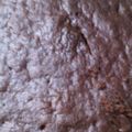 El cooksnap de Hope cuando hizo Torta brownie en microondas con dulce de leche y crema.