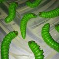 Cooksnap dari Windi Afriliyanti untuk resep Kue semprit ulat