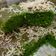 Cooksnap dari Nurhasanah_Rasyid untuk resep Keto Lekker Holland Pandan (w/ Tepung Keto) Sugar Free #Ketopad