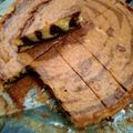 Cooksnap dari Sri Kurniawan untuk resep Bolu Zebra