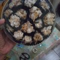 Cooksnap dari Septian Virgiani untuk resep Chocolate Cornflake Cookies