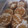 El cooksnap de chapulina_79 cuando hizo Galletitas de jengibre y canela navideñas.