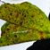 Mamta Pandya's cooksnap of when they made પાલક પનીર પરાઠા (Palak Paneer Paratha Recipe In Gujarati).