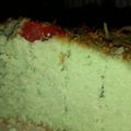 Cooksnap dari Rina Situmorang untuk resep Bolu pandan 2 telur tinggi maksimal lembut