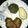 Huldah Mwandikwa's cooksnap of when they made Wet Fried liver liver with kales.