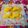 Jayshree Doshi's cooksnap of when they made ટોપરા પાક (Topra Paak Recipe In Gujarati).