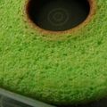 Cooksnap dari Ayu Paradella untuk resep Bolu pandan santan