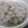 Cooksnap dari erika untuk resep Bakso sapi