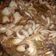 Cooksnap dari Nurul_isti untuk resep Baby octopus/bayi gurita tumis (pedas)