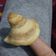 Cooksnap dari Naurah Khairani untuk resep Kuker kuping gajah