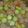 Cooksnap dari Novia Lestianingrum untuk resep Oyong soun sayur bening